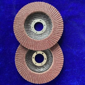 Flap disc with Locknut Flat Type