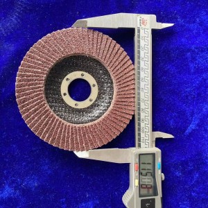 Flap disc with Locknut Flat Type