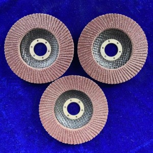 Flap disc with Locknut Flat Type