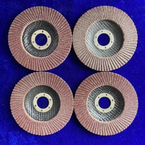 Flap disc with Locknut Flat Type