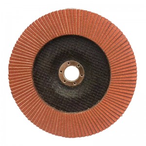 Flap Sanding Disc 4.5″x 7/8″