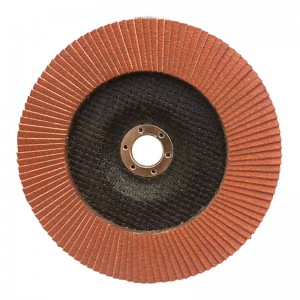 Flap Sanding Disc 4.5″x 7/8″