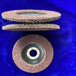 Flap disc with Locknut Flat Type